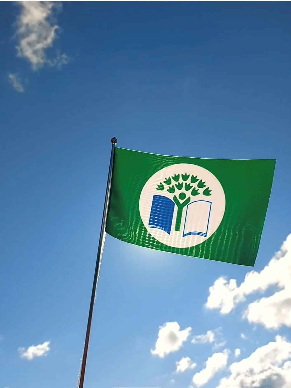 Grön flagg flaggan med logo